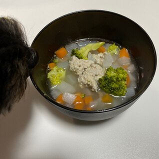 愛犬メシ☆ 肉だんごと野菜スープ